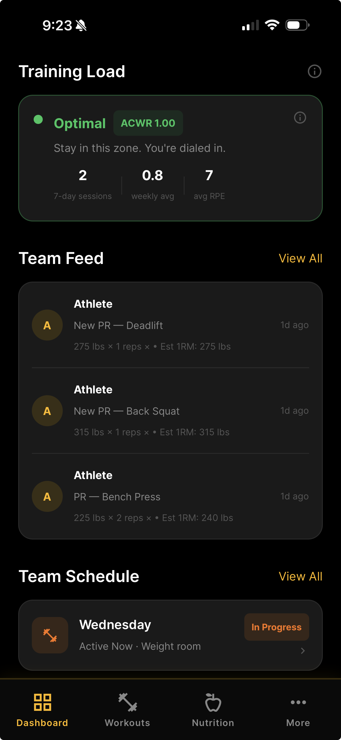 Training Load Monitor